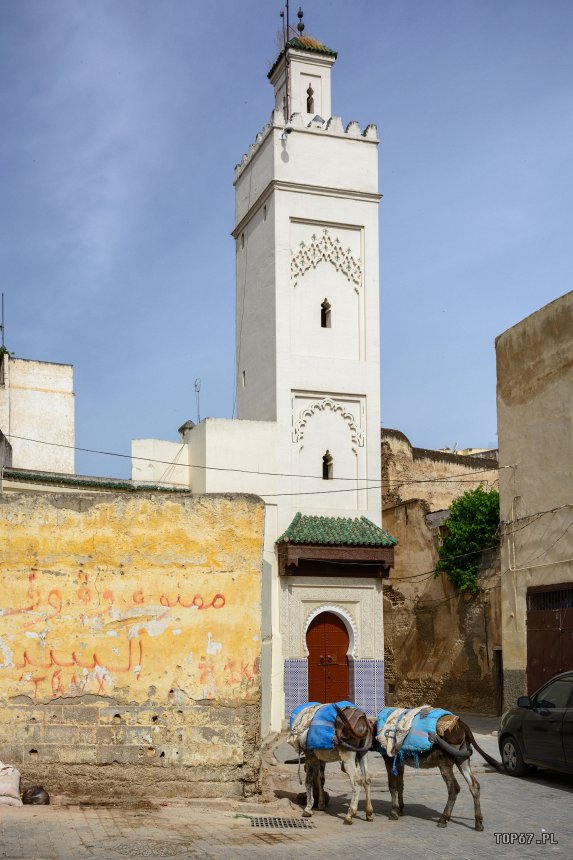 TP4_5467.jpg - Stara Medina w Fez