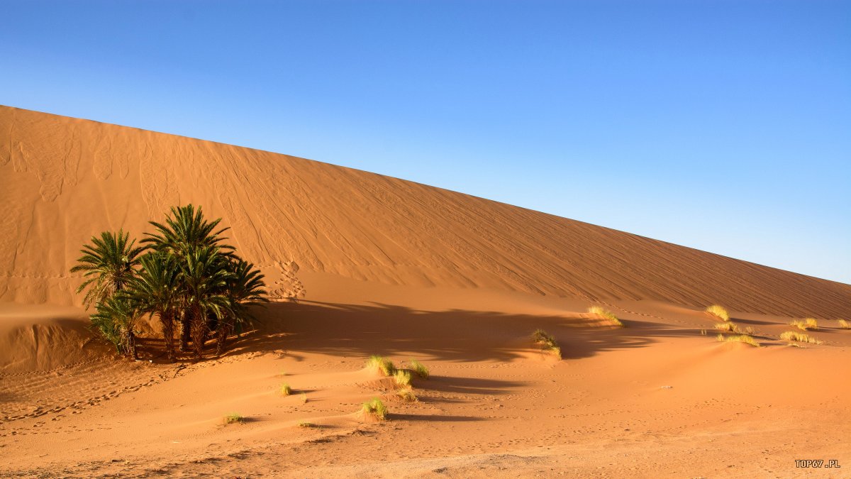 TP4_4988.jpg - Kawałek cienia na pustyni