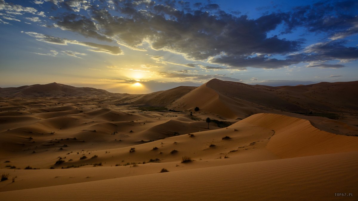 TP4_5069.jpg - Zachód słońca na Saharze