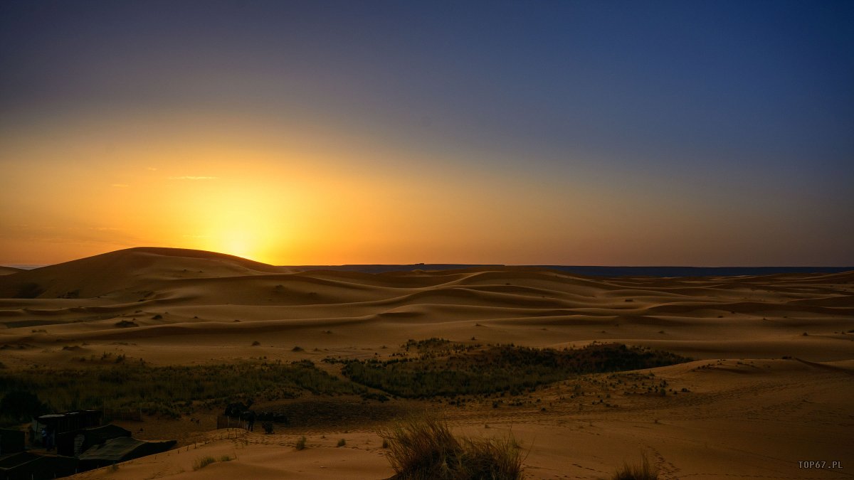 TP4_5131.jpg - Wschód słońca na Saharze