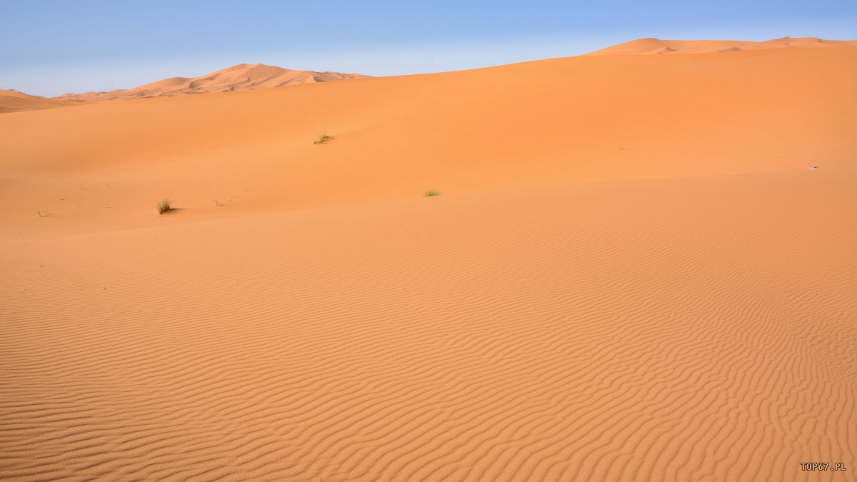 TP4_5363.jpg - Sahara