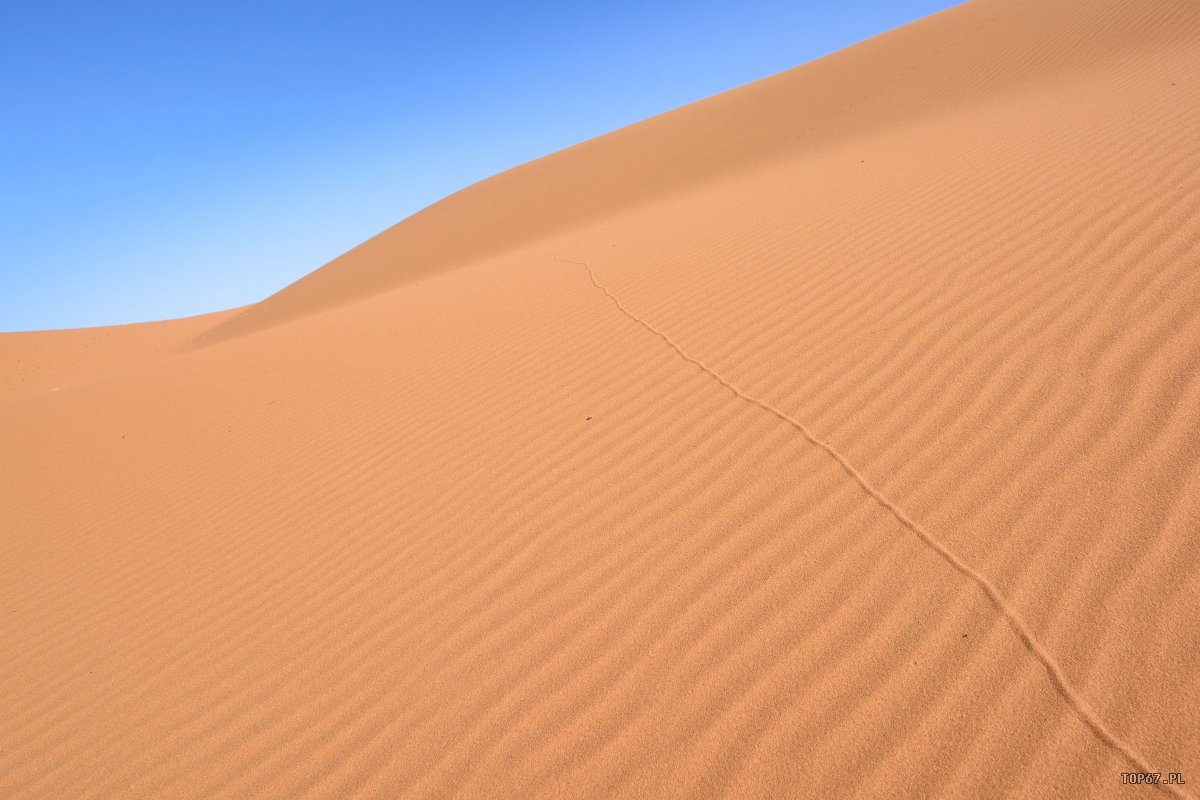 TP4_5373.jpg - Sahara
